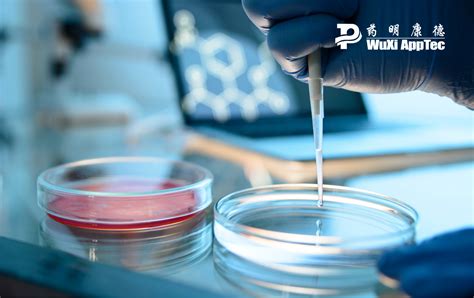Radiolabeled In Vivo PK/ADME Studies • WuXi AppTec Lab .